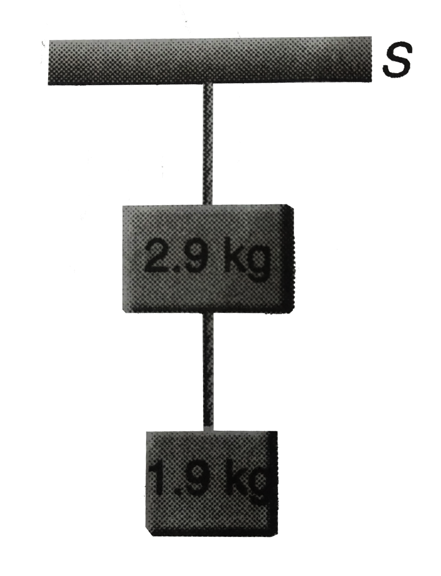 Two block of mass 2.9 kg and 1.9 kg are suspended from a rigid support S by two inextensible wires each of length 1 m , as shown in figure.The upper wire has negligibible mass and the lower wires and support have an uniformly mass of 0.2 kg .The whole system of blocks, wire and support have an upwardds acceleration of 0.2 m//s^(2). Accceleration due to gravity is 9.8 m//s^(2).   (a) Find the tension at the mid point of the lower wire.   (b)Find the tension at the mid point of the upper wire.