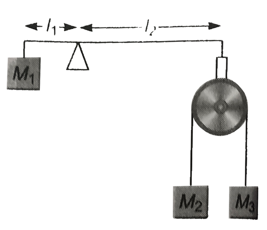 A livotad beam of negligible mass has mass suspended from one end and an Atwood's machine suspended from the other. The frictionless pulley has negligible mass and dimension. Gravity is directed downwards and M(2) = 3 M(3),l(2) = 3 l(1) . Find the retio M(1)//M(2) which will ensure that the beam has no tedency to rotate just after the masses are released.