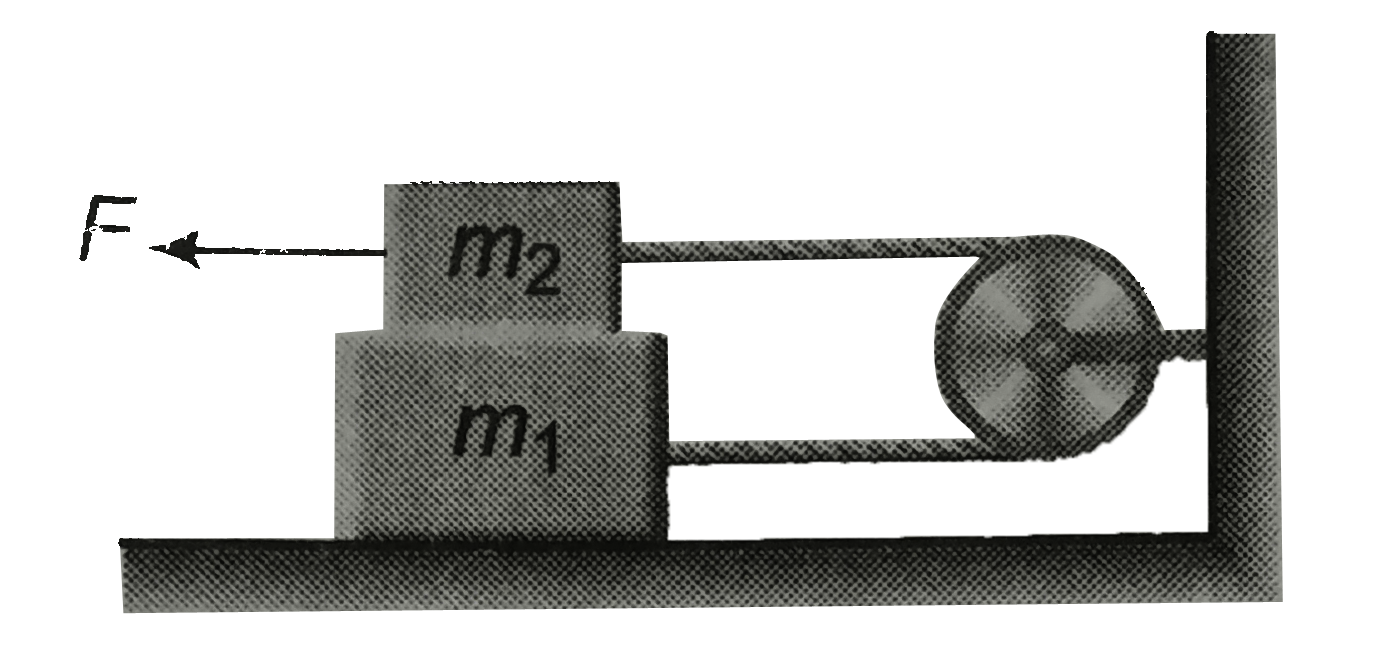 The block each of mass 1 kg are placed as shown .They are connected by a string which passes over a smooth (massless) pulley.      There is no friction between m(1) and the ground.The coefficient of friction between m(1) andm(2) is 0.2 A force F is applied to m(2). Which of the fpllowing statement is/are correct?