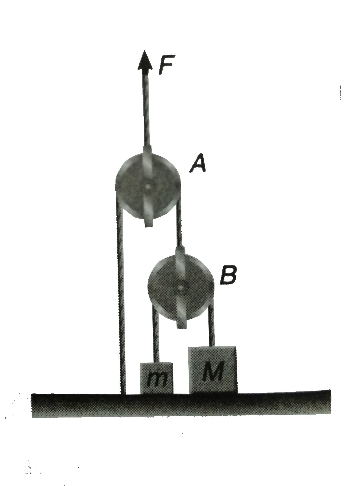 Two block of masses m =5kg and M =10kg are connected by a string passing over a pulley B as shown. Another string connect the center of pulley B to the floor and passes over another pulley A as shown. An upwards force F is applied at the center of pulley A. Both the pulleys are massless.   Find the acceleration of block m and M, if F is   (a) 100N   300N   500N(Take g = 10m//s^(2))
