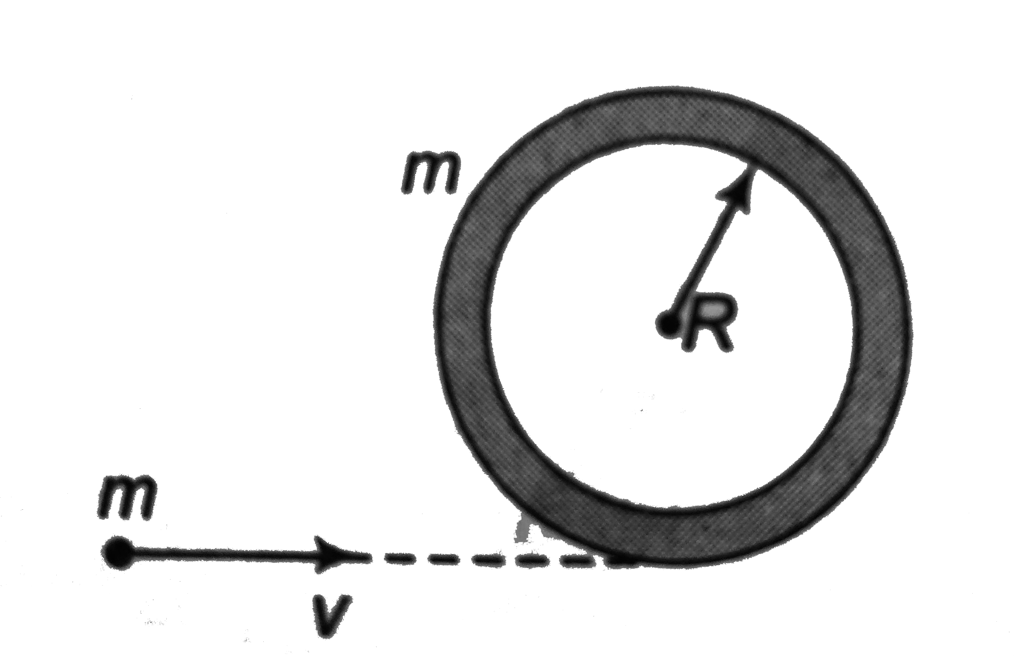 A circular ring of mass m and radius R rests flat on a horizontal smooth surface as shown in figure. A particle of mass m, and moving with a velocity v. Collides inelastically (e=0) with the ring the angular velocity with which the system rotates after the particle strikes the ring is