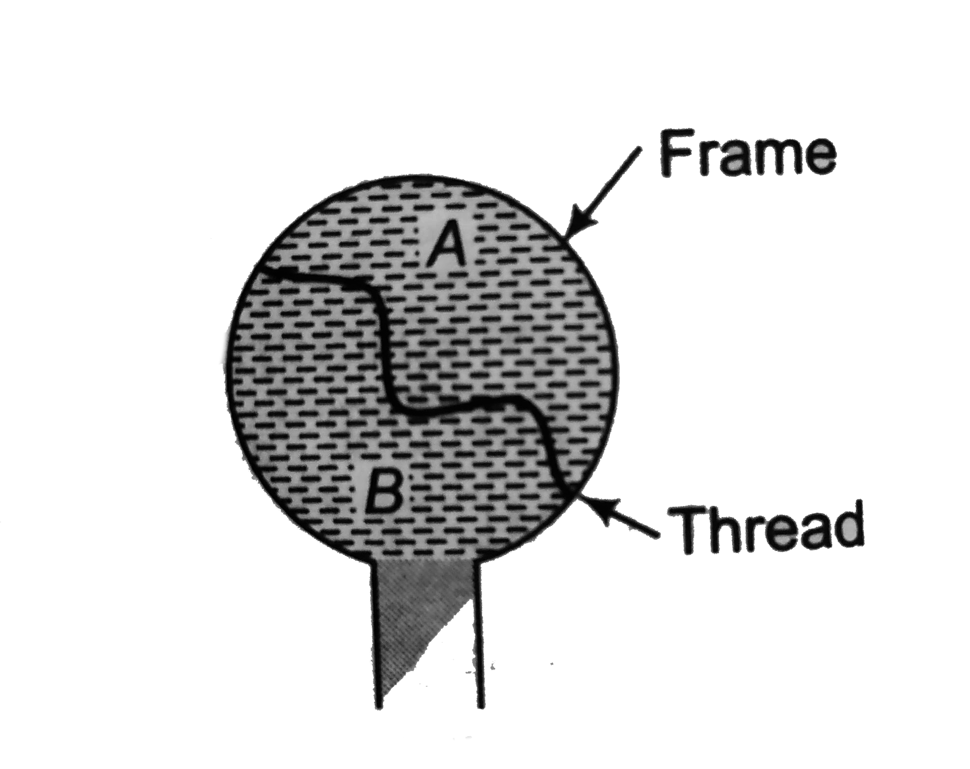 A thread is tied slightly loose to a wire frame as in figure and the frame is dipped into a soap solution and taken out. The frame is completely covered with the film. When the portion A is punctured with a pin, the thread   .