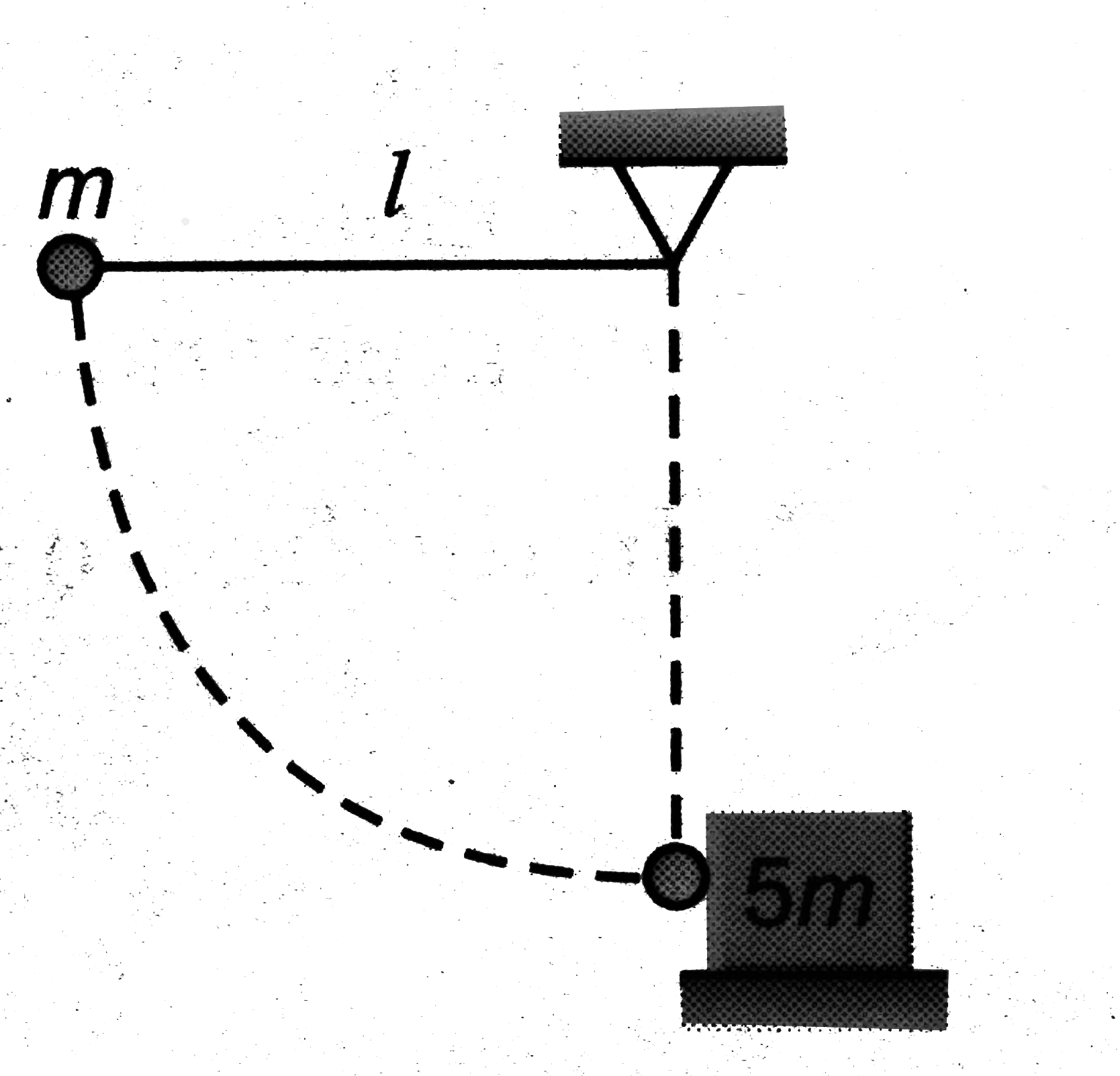 A pendulum bob of mass m connected to the end of material string of length l is released from rest from horizontal position as shown in the figure. At the lowest point the bob makes an elastic collision with a stationary block of mass 5m, which is kept on a frictionless surface. Choose out the correct statement(s) for the instant just after the impact.
