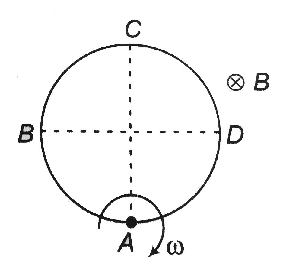 A conducting circular ring is rotated with angular velocity omega about point A as shown in figure. Radius of ring is a find     a. potential difference between points A and C   b. potential difference between  the points A and D.