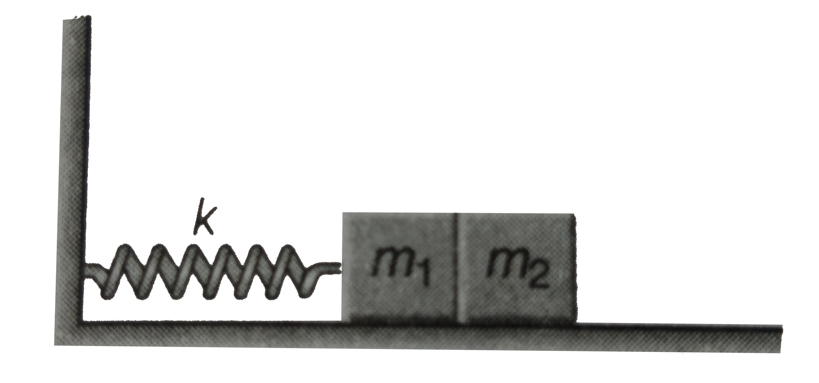 The masses in figure slide on a frictionless table. m(1) but not m(2), is fastened to the spring. If now m(1) and m(2) are pushed to the left , so that the spring is compressed a distance d, what will be the amplitude of the oscillation of m(1) after the spring system is released ?