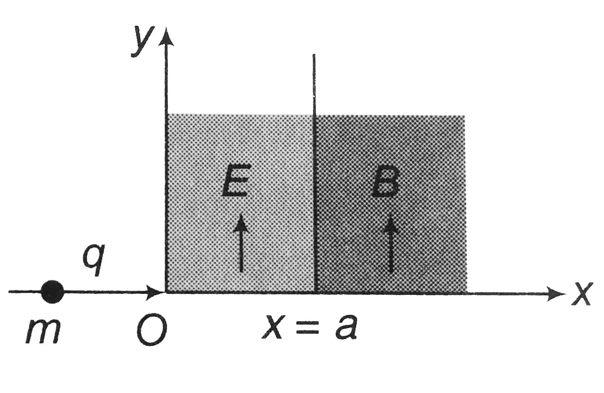 A positively charged particle having charge q is accelerated by a potential difference V. This particle moving along the x-axis enters a region where an electric field E exists. The direction of the electric field is along positive y-axis. The electric field exists in the region bounded by the lines x = 0 and x = a. Beyond the line x = a (i.e. in the regionxgea there exists a magnetic field of strength B, directed along the positive y-axis. Find   (a) at which point does the particle meet the line x= a   (b) the pitch of the helix formed after the particle enters the region x ? a. Mass of the particle is m.