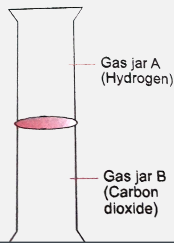 The diagram shows an experiment in which gases hydrogen and carbon dixide are placed in two jars as shown in the figure. If the lid separating the two jars be removed, what will the constituents in the gas jar A after a few minutes ?   (a) carbon dioxide only   (b) hydrogen only   (c ) mixture of carbon dioxide and hydrogen.