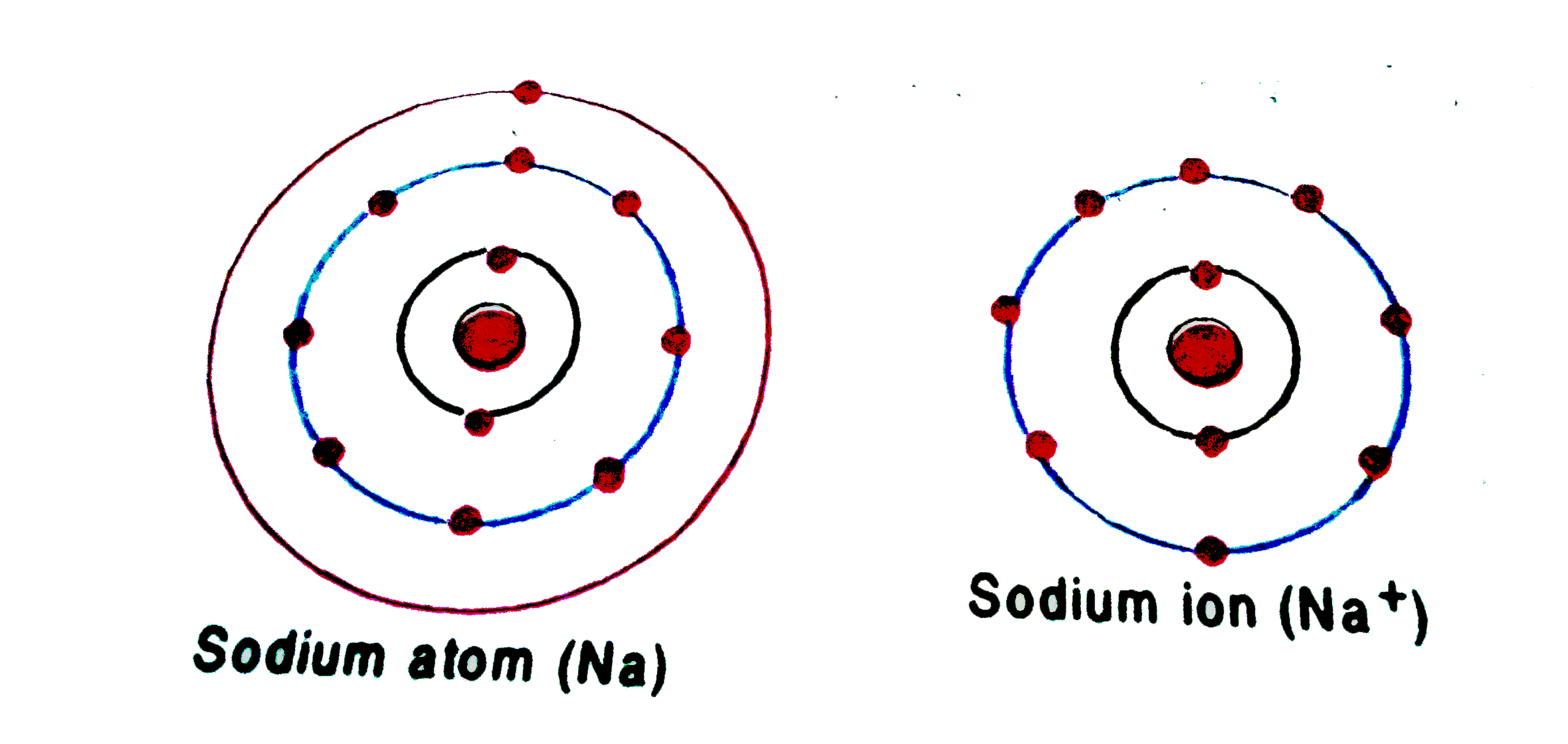 Electron Configuration Of Sodium Ion