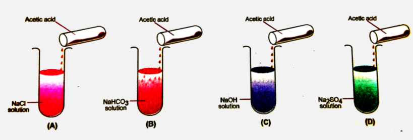 In which of the following tubes, effervescence will occur?