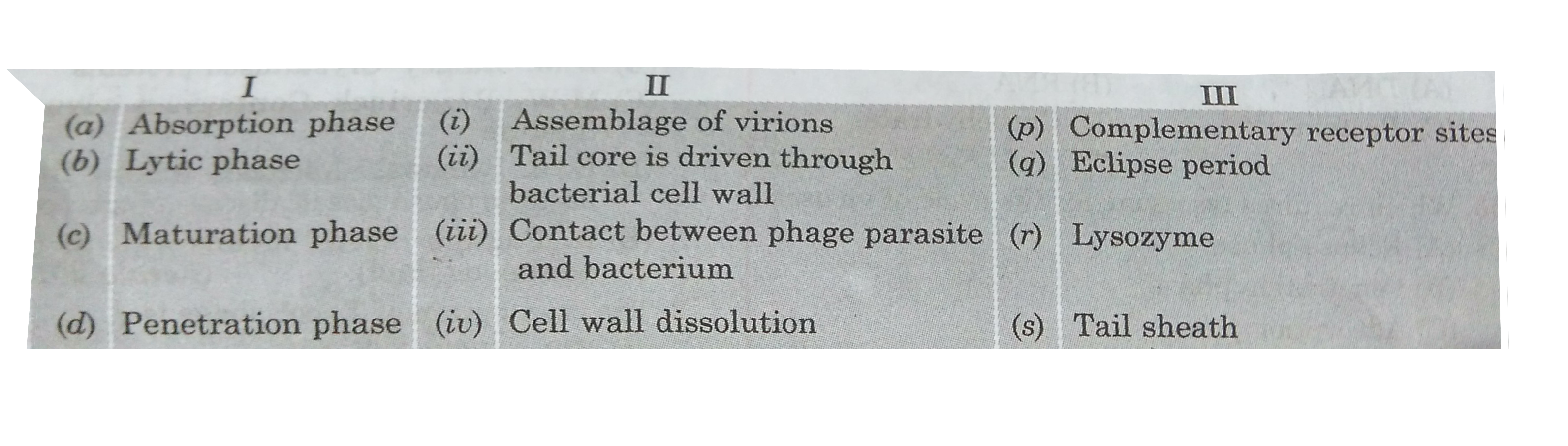 Match the following and find the correct answer