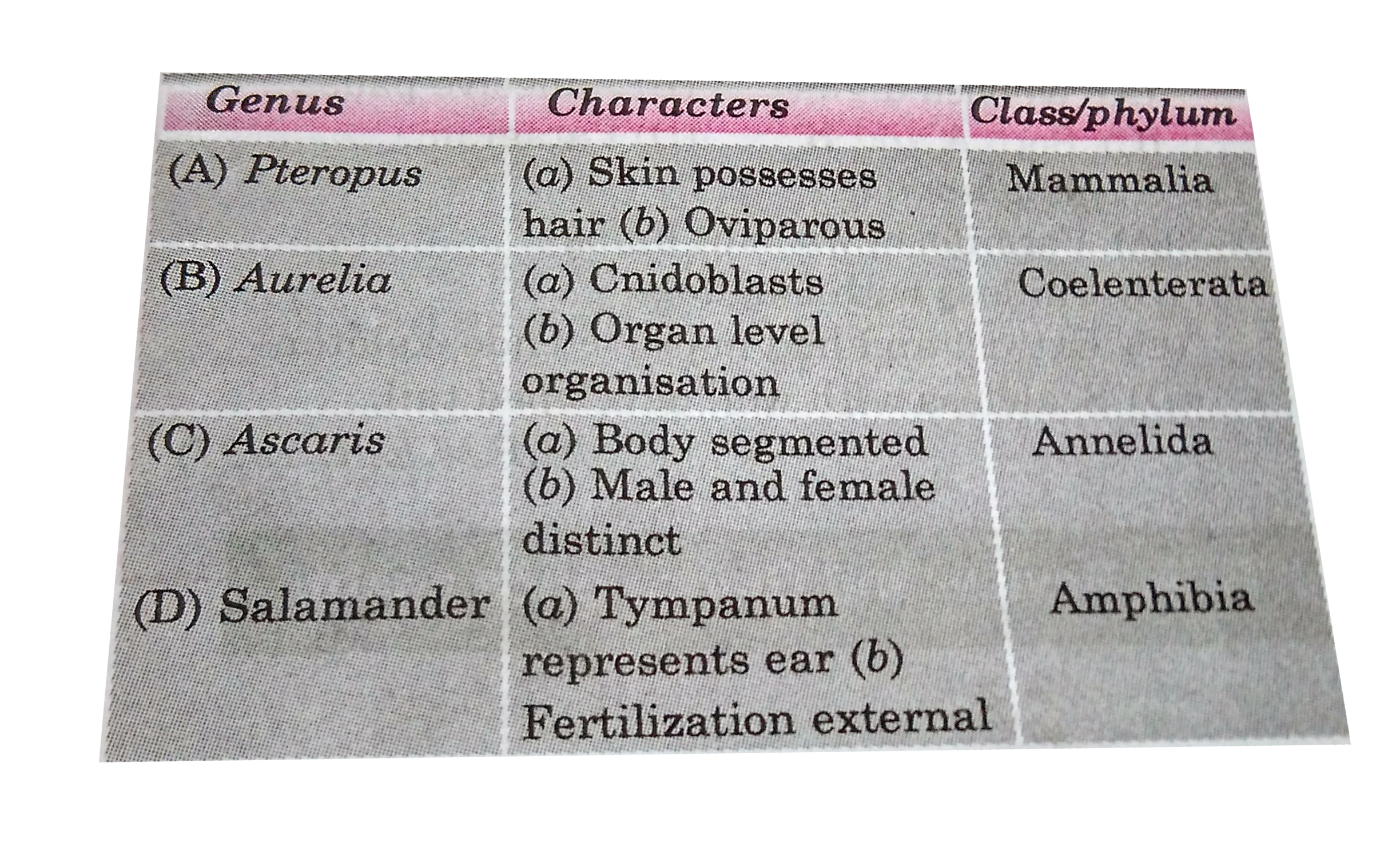 Pick up the one where genus name , its two charcters and class/phylum are correctly matched.