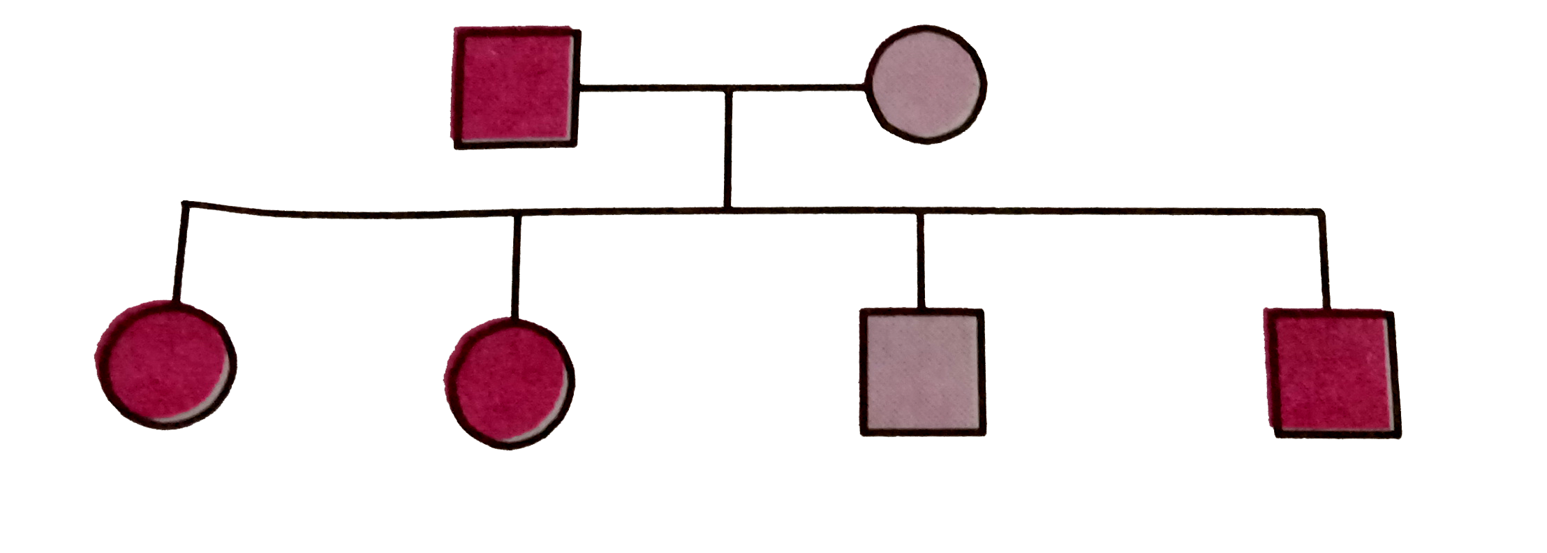 Study the pedigree chart of certain family given here and select the correct conclusion