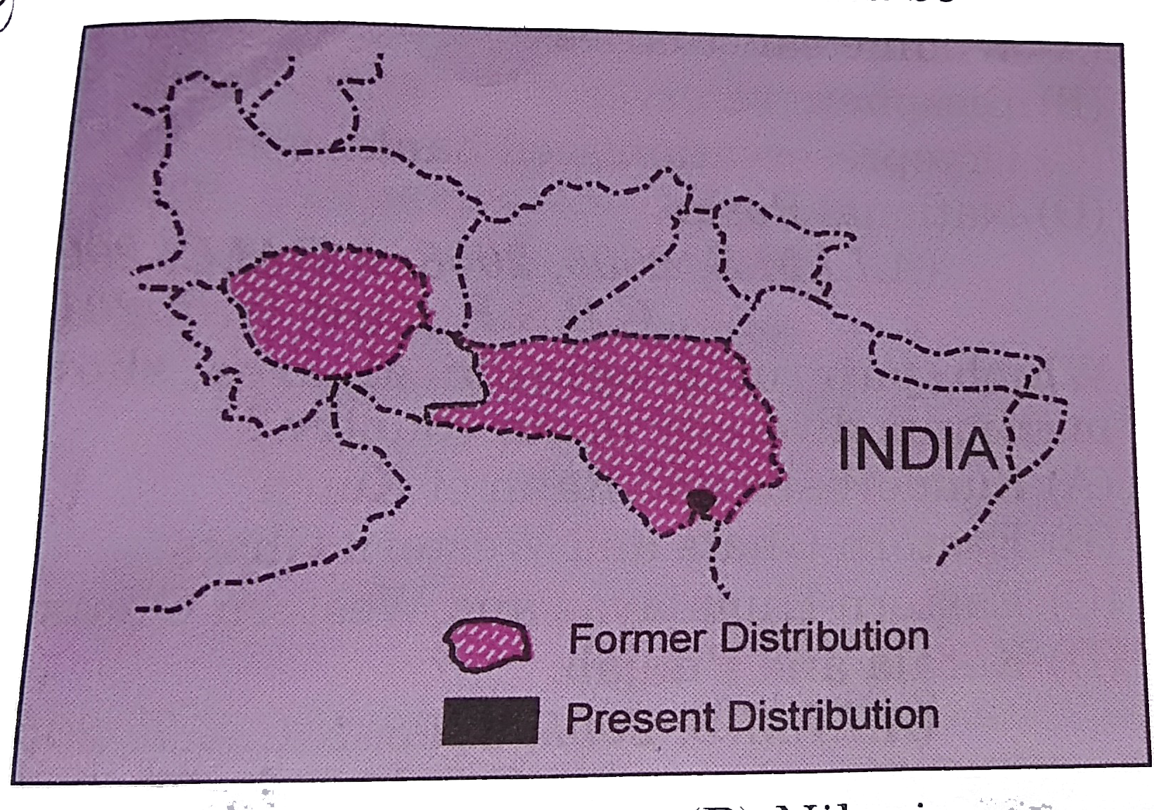 The map gives the former and present distribution. Which one it could be