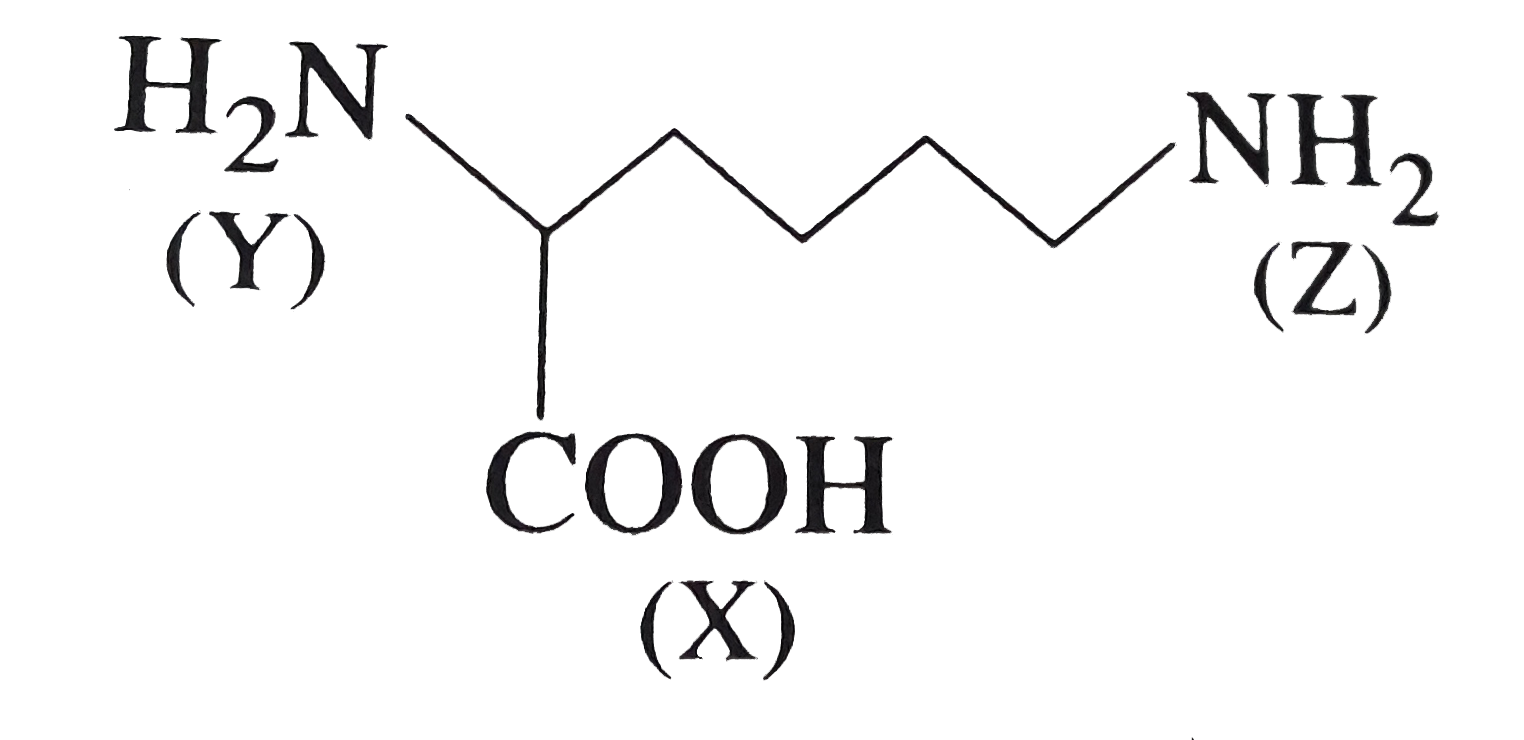 In the compound gives below,      the correct order of acidity of the positions (X), (Y) and (Z) is