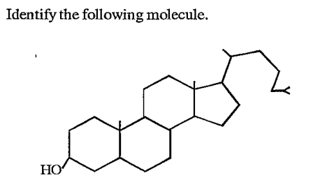 Identify the following molecule