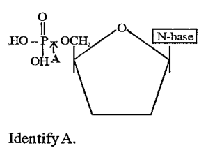 Identify A