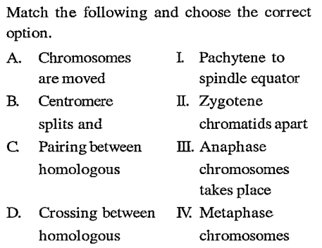 Match the following columns