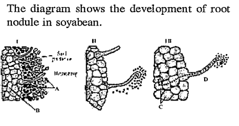 Identify A, B, C & D.