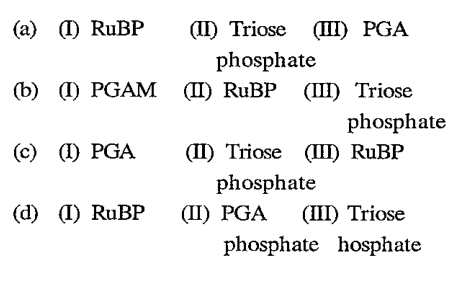 ocr_image