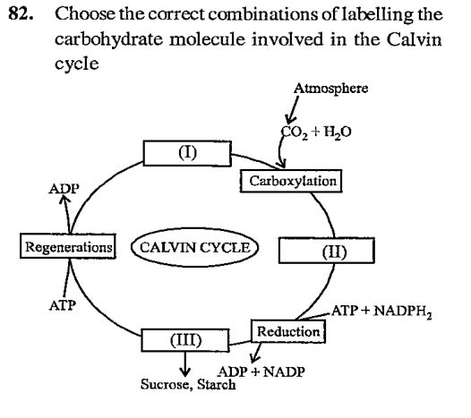 Choose the correct combinations of labelling the carbohydrate molecule involved in the calvin cycle