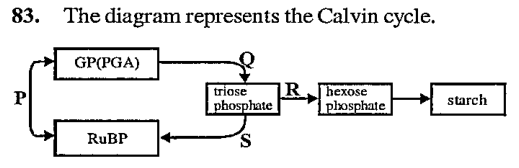 At which stage is CO2 incorporated?