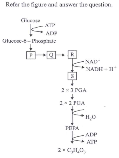 Refer the figure and answer the question