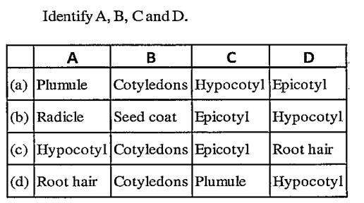 ocr_image