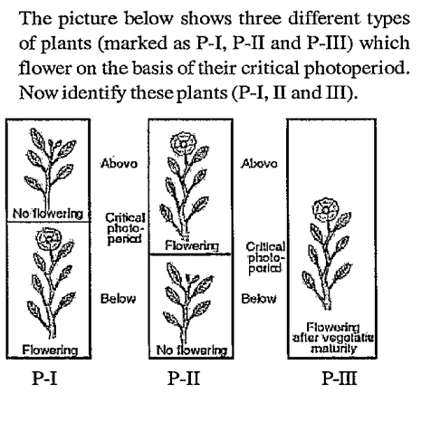 Identify the following