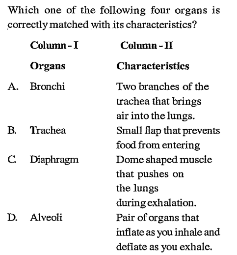 Which one of the following four organs is correctly matched with its characteristics?