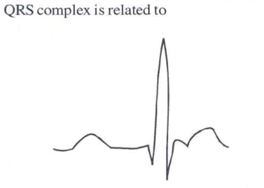 QRS complex is related to