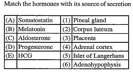 Match the hormones with its source of secretion