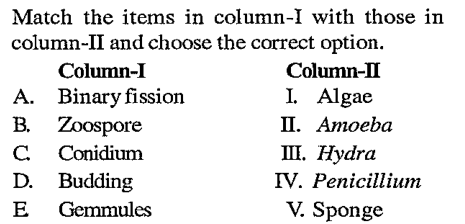 Match the following columns