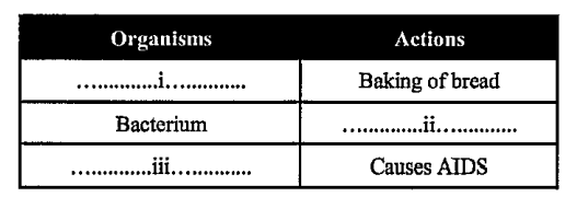 The given table represents organisms and their action.      Which information completes the given table?