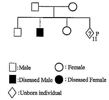 Study the following pedigree.  choose the correct interpretation.
