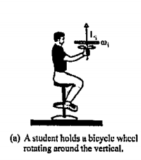 Figure shows a student, sitting on a stool that can rotate freely about a vertical axis. The student, initially at rest, is holding a bicycle wheel whose rim is loaded with lead and whose moment of inertia is I about its central axis. The wheel is rotating at an angular speed omegai from an overead perspective, the rotation is counter clockwise. The axis of the wheel point vertical, and the angular momentum vecLi of the wheel points vertically upward. The student now inverts the wheel, as a result, the student and stool rotate about the stool axis. With what angular speed and direction does the student then rotate? (The moment of inertia of the student+stool+wheel system about the stool axis is I0)