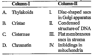Match the columns and identify the correct option.