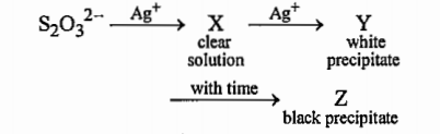 In the following reaction sequence in aqueous solution, the species X, Y and Z, respectively, are