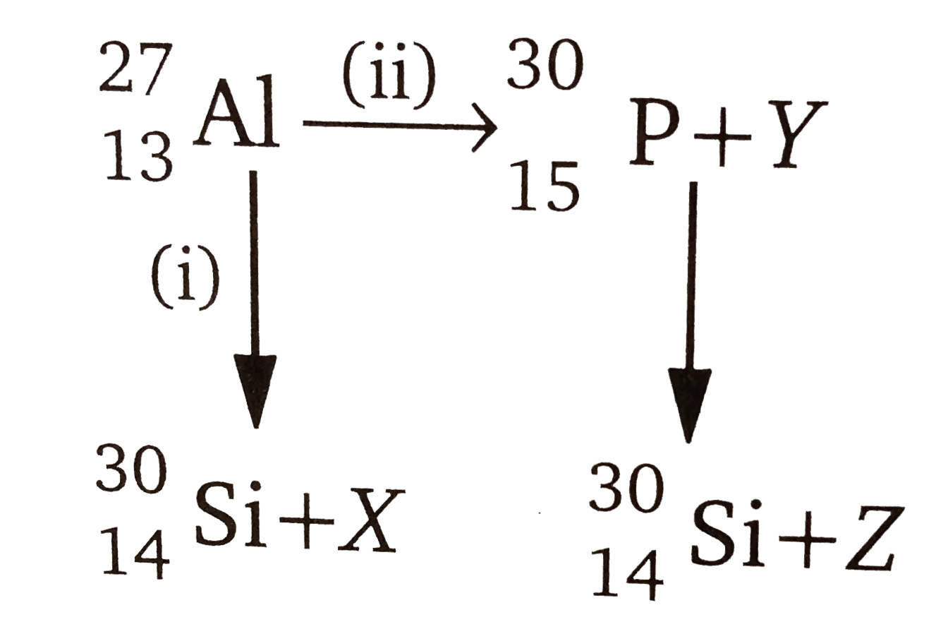Bombaradment of aluminium by alpha- particle leads to its artifical disinetegration in two ways, (i) and (ii) as shwon. Produces  X,Y and Z respectively are,