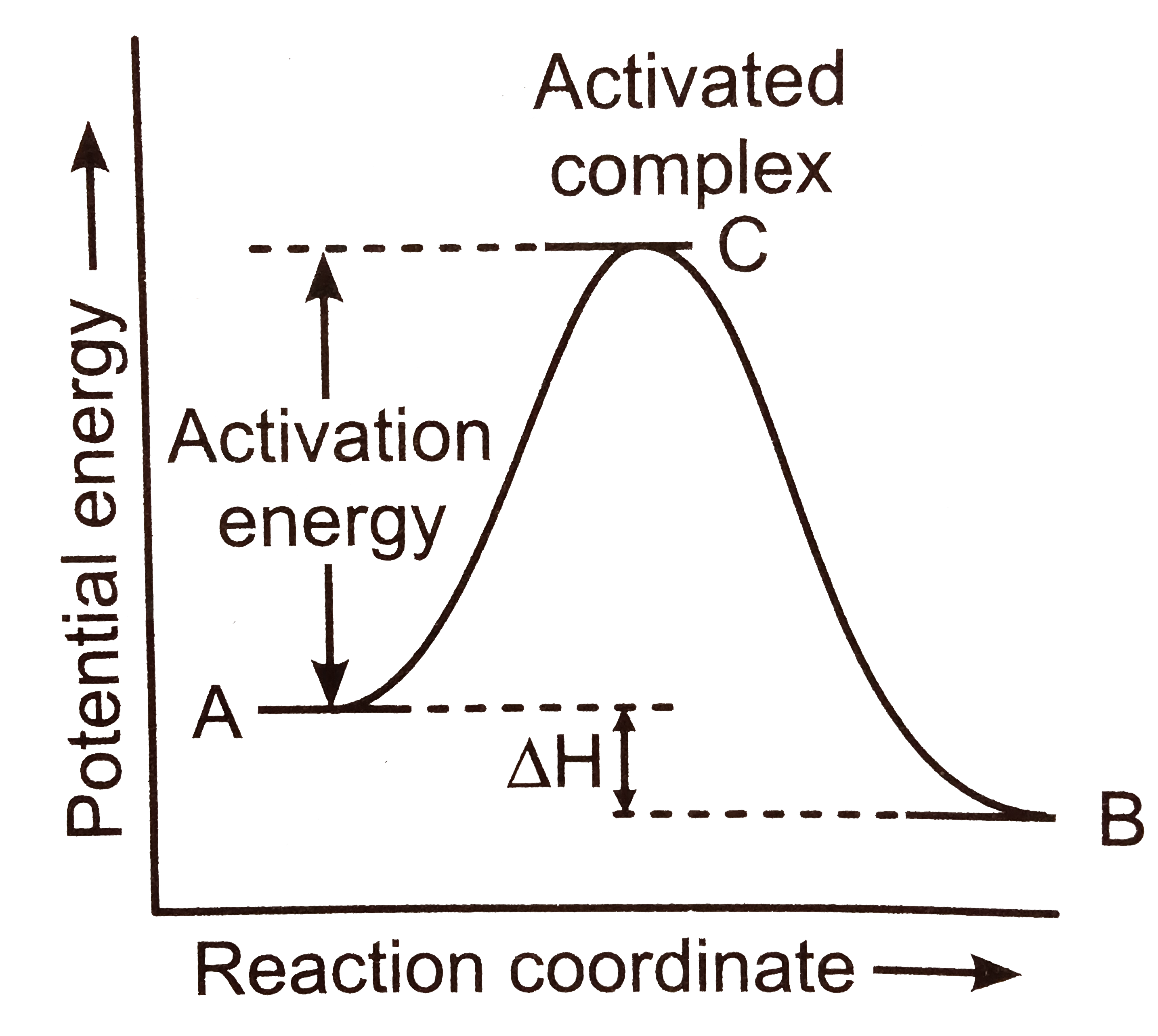 The energy required to form the intermediate, called activated complex (C ) is known as activation energy (E(a)). The diagram is obtained by plotting potential energy vs. reaction coordinate. Reaction coordinate represents the profile of energy change when reactants change into products.   Some energy is released when the complex decomposes to form products. So, the heat of the reaction depends upon the nature of reactants and products.      If a reaction A+Brarr C, is exothermic to the extent of 30 kJ mol^(-1) and the forward reaction has an activation energy of 249 kJ mol^(-1), the activation energy for reverse reaction in kJ mol^(-1) is:
