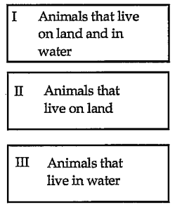 Red the following statements. Which of the following animals you can place in group I?