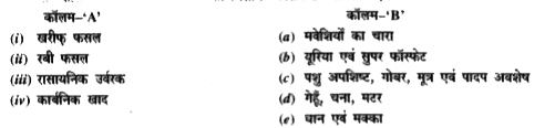 कॉलम A में दिए गए शब्दों का मिलान कॉलम B से कीजिए।
