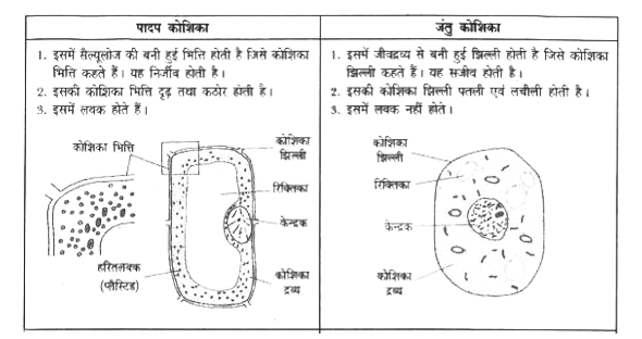 ocr_image