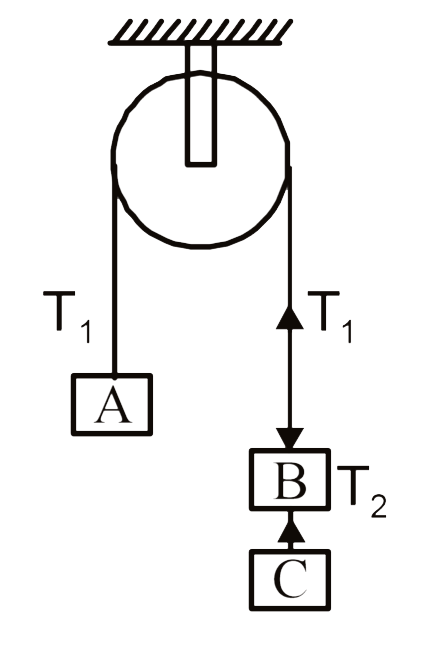 Three equal weights of mass m each are hanging on a string passing over a fixed pulley as shown in fig. The tensions in the string connecting weights A to B and B to C will respectively be -