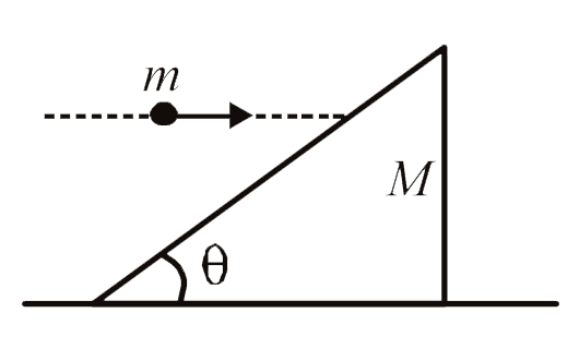 A particle of mass m strikes a wedge of mass M horizontally as shown in the figure.      Statement - 1  : If collision is perfectly inelastic then, it can be concluded that the particle sticks to the wedge.   Statement - 2  : In perfectly inelastic collision velocity of both bodies is same along common normal just after collision.