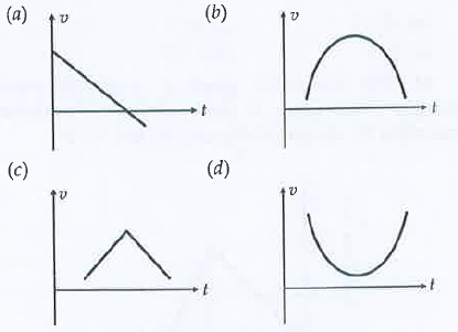 A particleis thrown above, the correct v-t graph will be