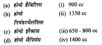 होमोनिडो को उनके सही मस्तिष्क माप के साथ मिलान कीजिये        उचित विकल्प का चयन कीजिये।