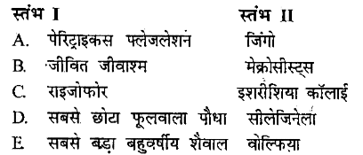 स्तंभ I के आइटम को स्तंभ II से मैच कीजिए