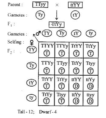 ocr_image