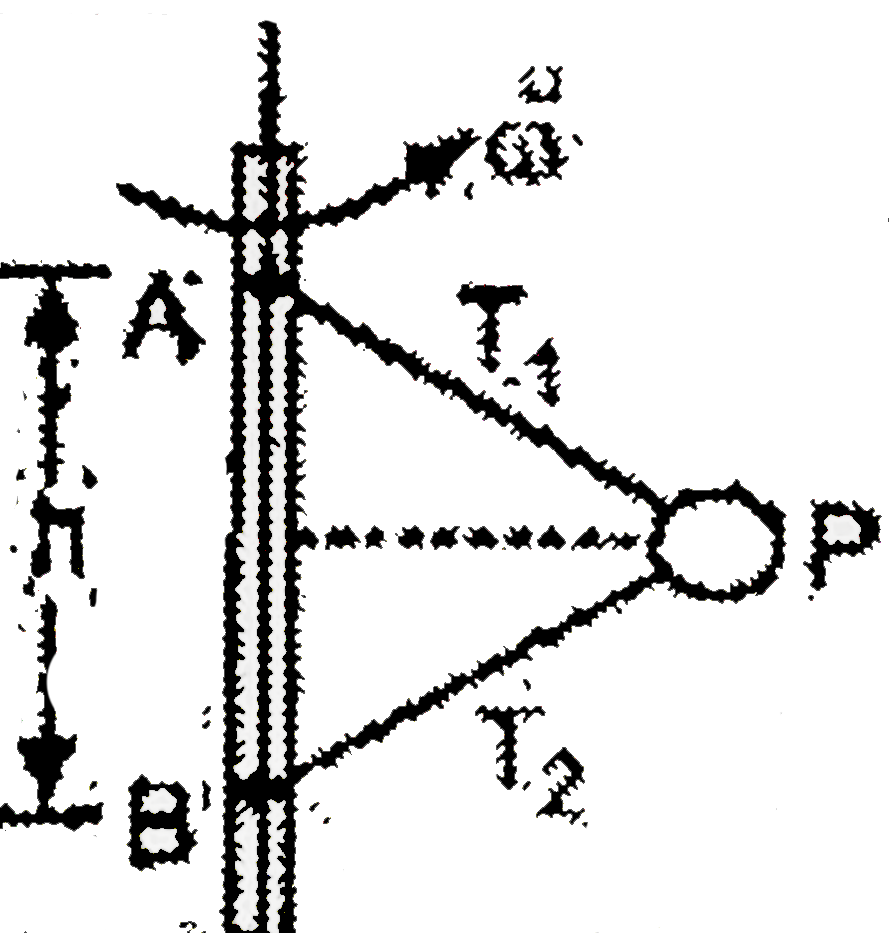 A particle P is attached by means of two equal strings to two points A and B is same vertical line and describes horizontal circle with uniform angular speed 2 sqrt((2g)/(h)) where AB = h