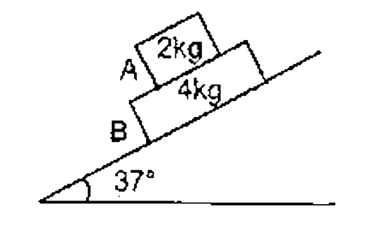 consider the situation shown in figure in which a block 'A' of mass 2 kg is placed over a biock.'B' of mass 4 kg. The combination of the blocks are placed on a inclined plane of inclination 37^(@) with horizontal. The coefficient of friction between block B and inclined plane is mu(2) and in between the two, blocks is mu(1). The system is released from rest.   (